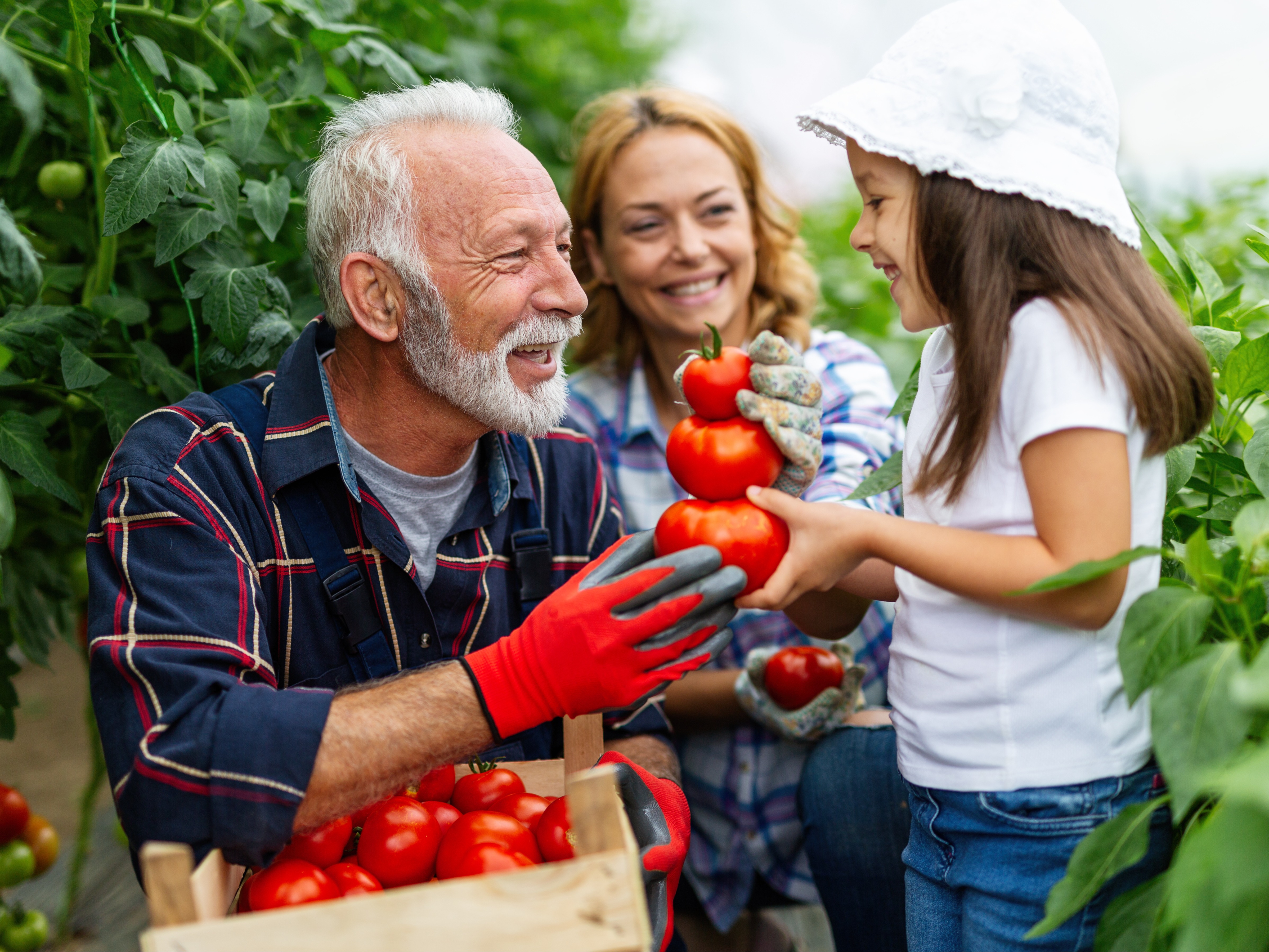 10 Reasons You Should Take Up Gardening This Spring-2
