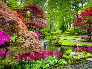 5 Beautiful Gardens You Should Visit
