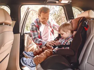 5 Cars You Should Buy