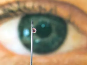 5 Of The Strangest Crimes Ever Committed