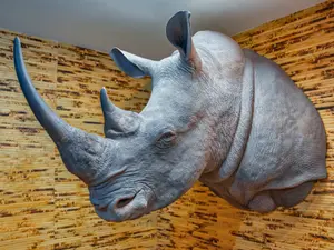 5 Shocking Facts About Trophy Hunting