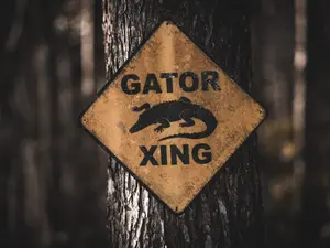 5 Weirdest Crimes Ever Committed In The USA