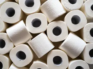 A Brief History Of Toilet Paper And Its Predecessors