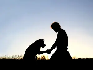 Animal Lover Fatally Beaten While Confronting Dog Abuser