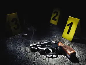 'Black Swan' Murder Trial Ends With Manslaughter Verdict