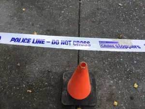 Brooklyn Man Charged in Grandmother's Fatal Stabbing