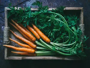 Carrots Are Orange Now... But They Weren't Always