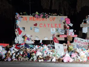 Casey Anthony Resurfaces Online - But Why Now?