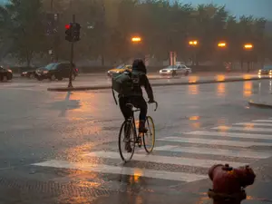 Chicago Cyclist Taunts Border Patrol