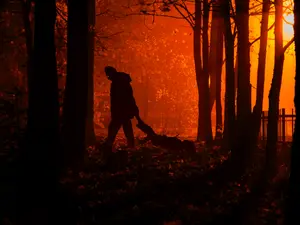 Chicago Man Claims 'Satan Made Him' Kill His Mom