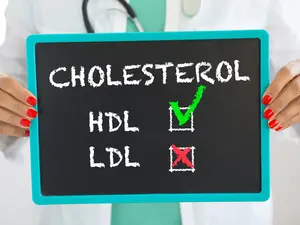 Cholesterol 101: Good Fat Vs. Bad Fat