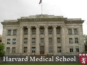 Dead Bodies Stolen And Trafficked