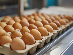 Egg Thieves Strike Across The US As Prices Skyrocket