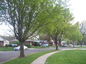 Fatal Shooting at Salt Lake City Funeral Leaves 2 Dead, 6 Injured