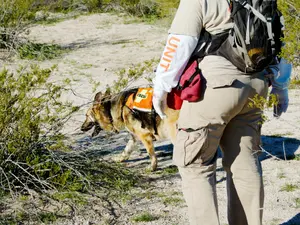 Geologist Missing 3 Years In Vast Arizona Desert