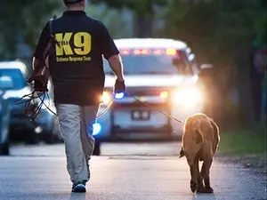 FBI Disrupts Alleged New Year's Eve Attack Plot