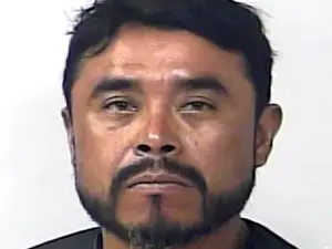 FL Man Charged After 2 Dogs Found Hanging From Tree