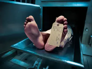 Harvard Horror: Wife Of Harvard Morgue Manager Pleads Guilty For Human Remains Trafficking