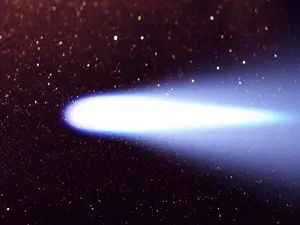 Heaven's Gate Cult: The Terrifying Truth They Tried To Keep Hidden