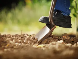 Police Find Body Buried In Backyard: Roommate Charged In California Case