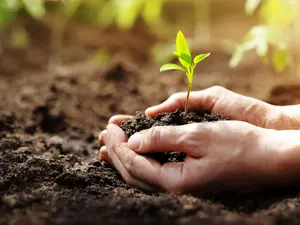 How Farming Shaped Human History