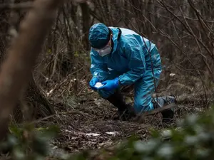 Illinois Woman's 2020 Murder Finally Sees Arrest