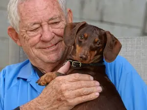Is Your Pet Guarding You Against Dementia?