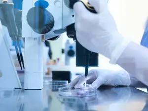 Palm Springs IVF Clinic Becomes Terror Target