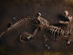 Jurassic Heist: The Stunning Story Of Stolen Dinosaur Bones Worth Millions!