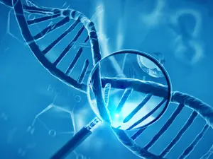 Man Confesses To Florida Blood-on-the-Wall Murder Case