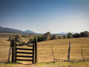 Mass Killing Site Uncovered In Mexico During Search For Missing Loved Ones