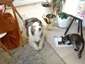 Meet The Four-Legged Artist Making Waves In The Charity And Art World
