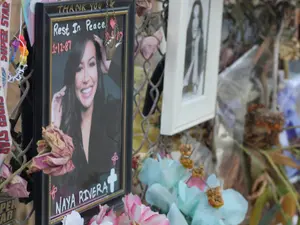 Hollywood Actress Drowns After Saving Her Child