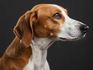 Pharmacist Sentenced For Overdosing His Dog