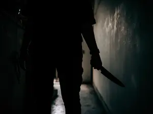 Police Say Woman Fatally Stabbed Mom Who Saved Her