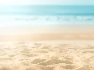 Rajwinder Singh To Face Retrial In High-Profile Beach Murder Case