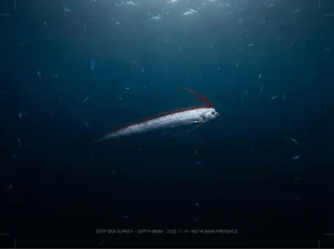 Rare Deep-Sea "Doomsday Fish" Spotted Near Monterey