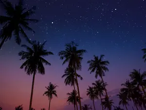 Romantic Getaway Turns Into A Nightmare Disappearance