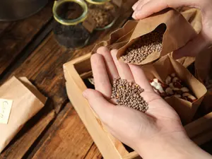 'Seed Scam' Sparks Fury As Mystery Mail Floods US Homes