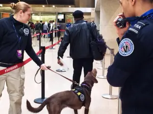 TSA Could Be Abolished — Even Amid Air Travel Disasters