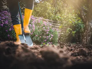 She Claimed He Died In Saudi Arabia. His Body Was In The Backyard.