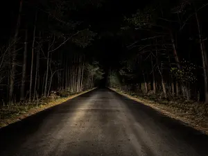 Naked And Hogtied: Florida Woman Breaks Free From Captivity