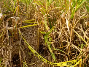 'She's Dead': Wisconsin Man Kills Wife After She Rambled At Him For 7 Hours