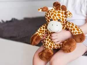 Social Media Reunites Boy With His Lost Giraffe 