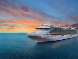 Stranded In Sewage: Inside The 'Poop Cruise' Meltdown