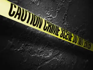 Surprising New Evidence From Bryan Kohberger's Defense Team