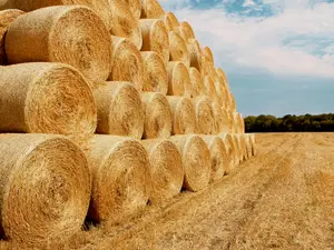 12 Migrants Found Packed In Hay Bales On I-10