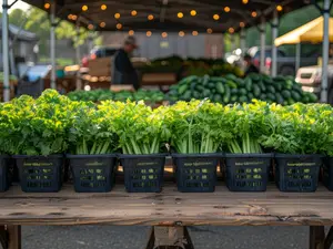 The Shocking Place Authorities Discovered 2,300 Pounds Of Meth