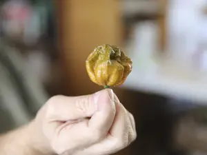 Turn Up The Heat: The Hottest Peppers In The World