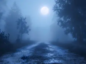 Unsolved Nightmare: Texarkana's 'Moonlight Murders'